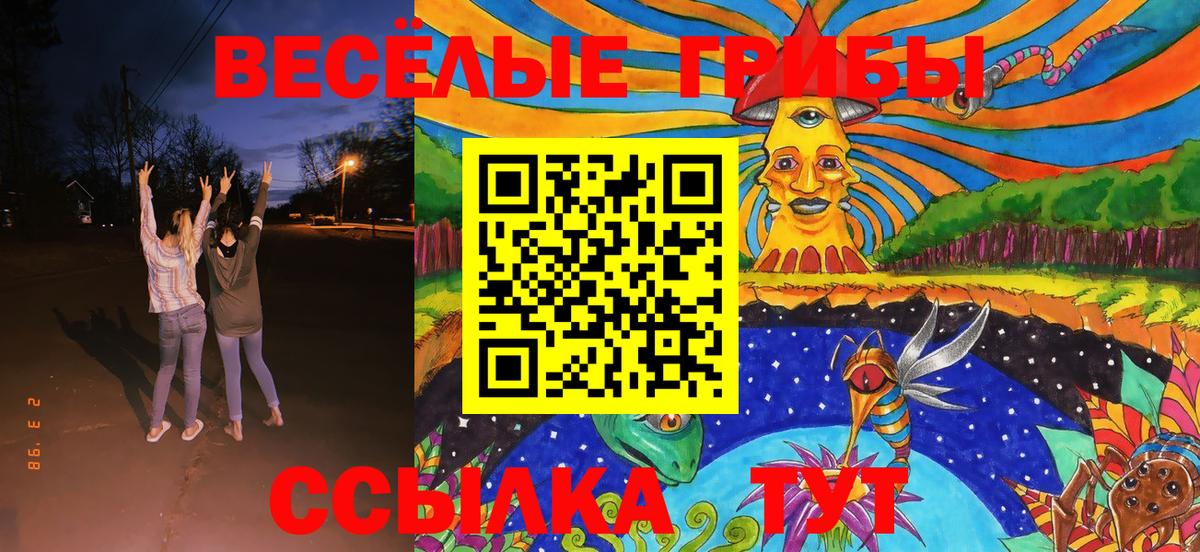 Галлюциногенные грибы Psilocybine cubensis Орск