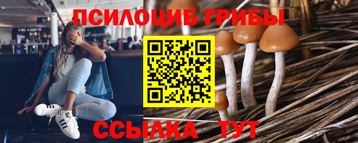 Орск  Галлюциногенные грибы GOLDEN TEACHER  Вход с VPN  Галлюциногенные грибы Psilocybine cubensis 