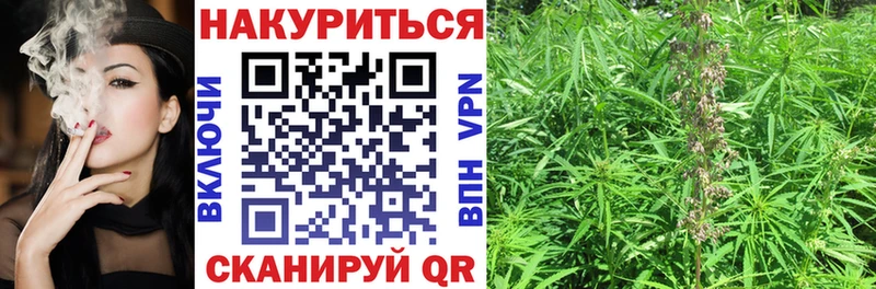 где купить наркотик  МЕГА сайт  Бошки марихуана AK-47  Орск 